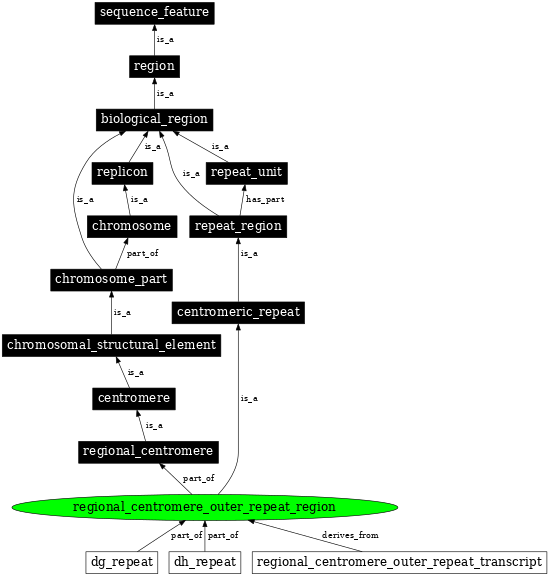 Graph image for SO:0001799