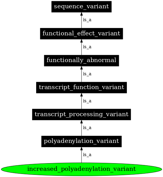 Graph image for SO:0001802