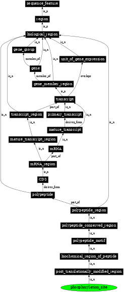 Graph image for SO:0001811