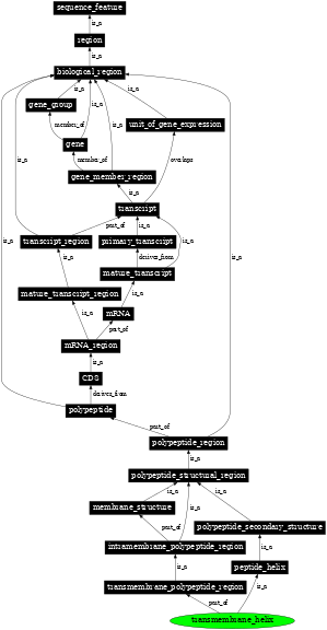 Graph image for SO:0001812