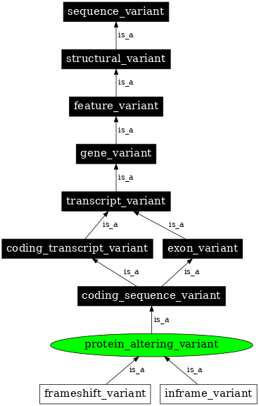 Graph image for SO:0001818