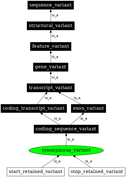 Graph image for SO:0001819