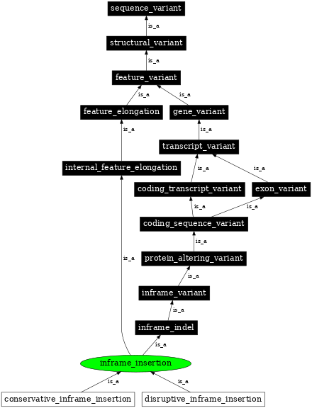 Graph image for SO:0001821