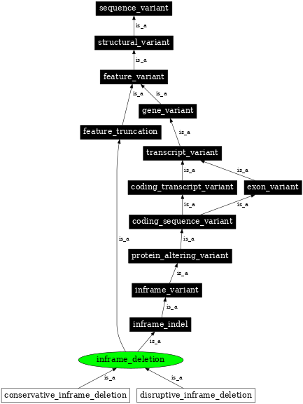 Graph image for SO:0001822