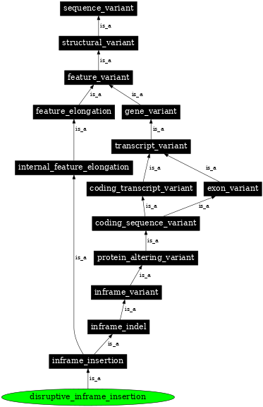 Graph image for SO:0001824