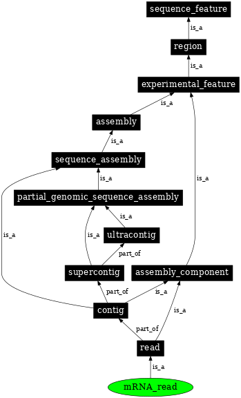 Graph image for SO:0001827