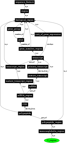 Graph image for SO:0001833