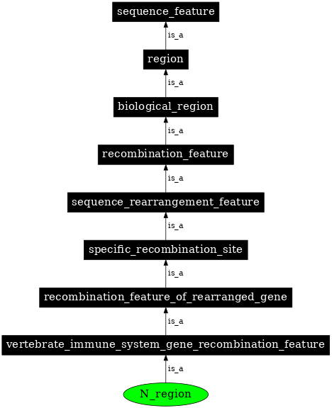 Graph image for SO:0001835