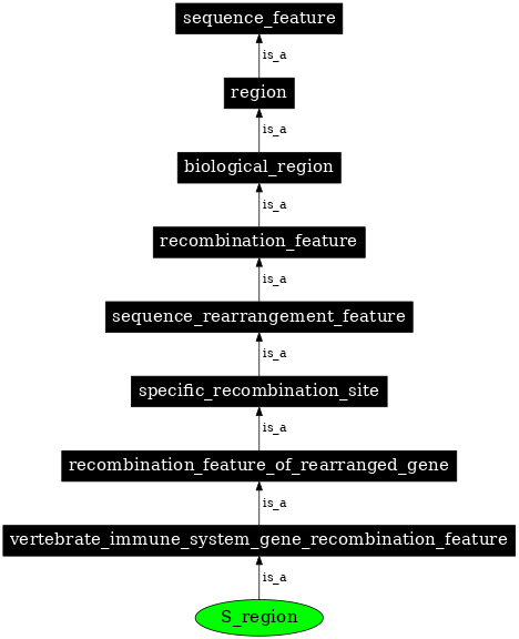 Graph image for SO:0001836