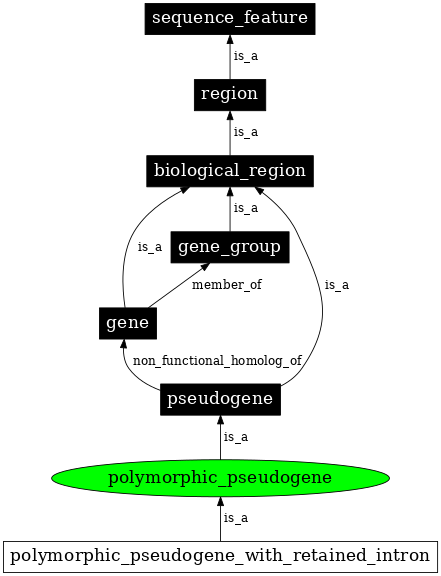 Graph image for SO:0001841