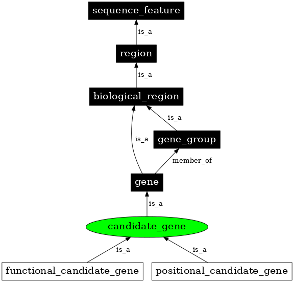 Graph image for SO:0001867