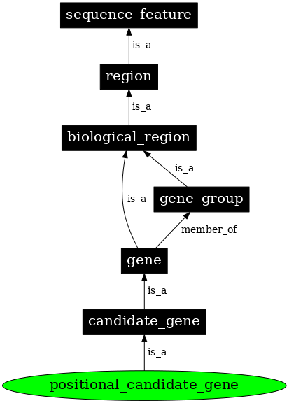 Graph image for SO:0001868