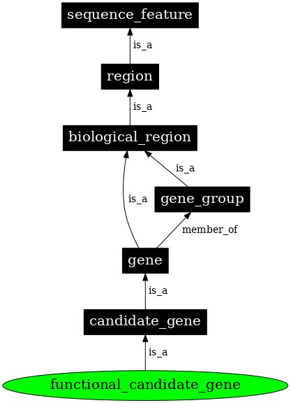 Graph image for SO:0001869