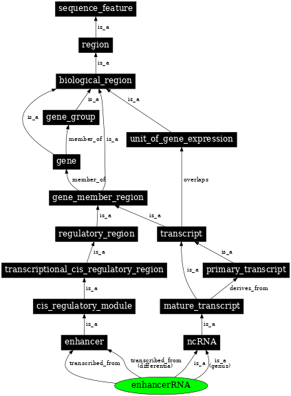 Graph image for SO:0001870