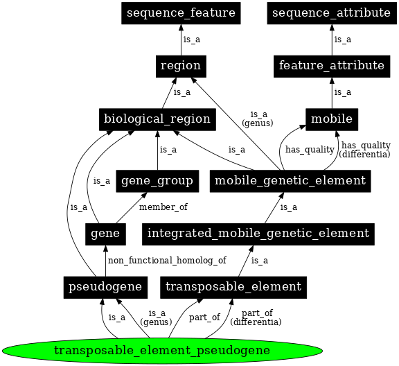 Graph image for SO:0001897