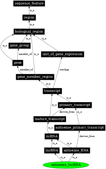 Graph image for SO:0001904