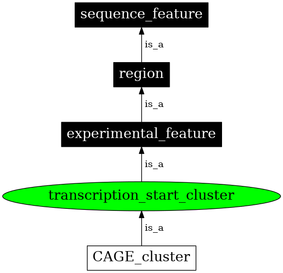 Graph image for SO:0001915