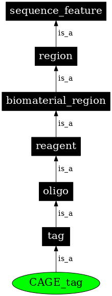 Graph image for SO:0001916