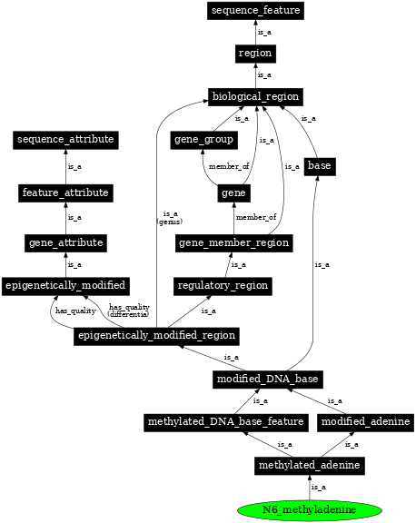 Graph image for SO:0001920