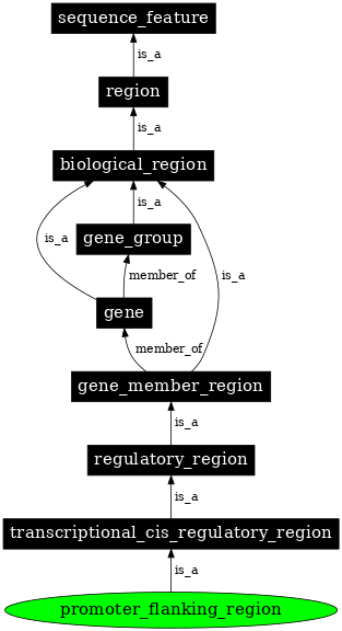 Graph image for SO:0001952