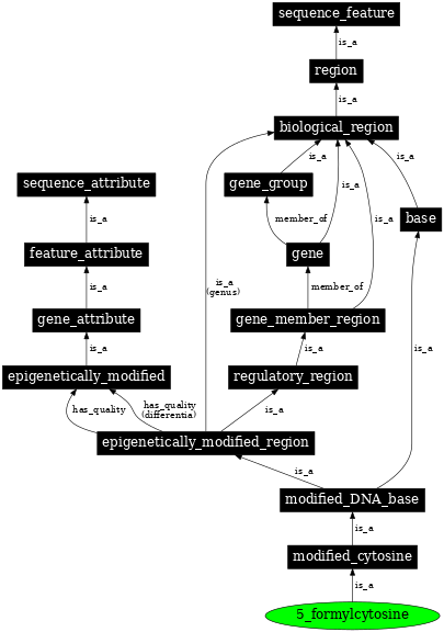 Graph image for SO:0001961