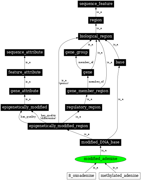 Graph image for SO:0001962