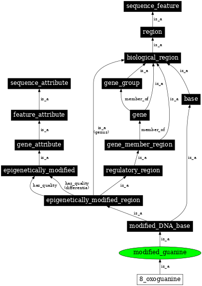 Graph image for SO:0001964