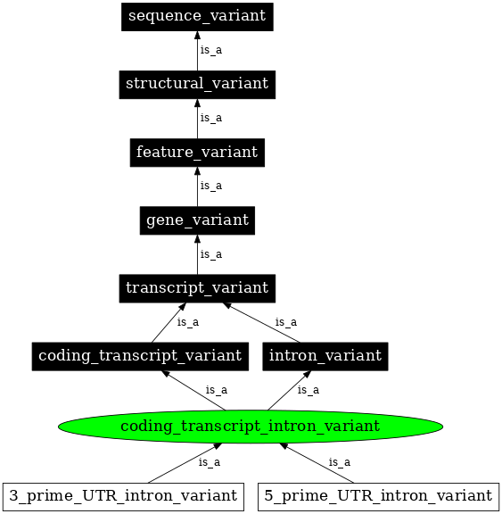 Graph image for SO:0001969