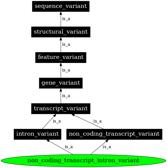 Graph image for SO:0001970