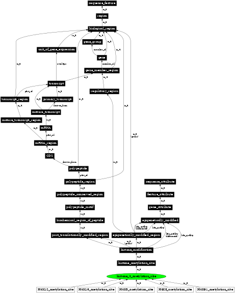 Graph image for SO:0001972