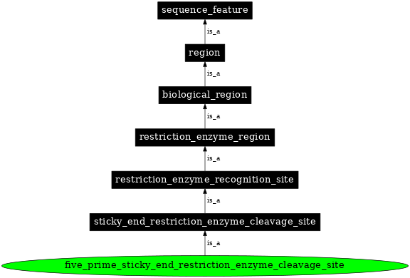 Graph image for SO:0001975