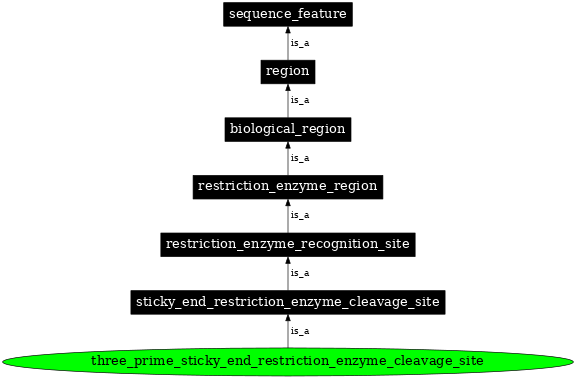 Graph image for SO:0001976