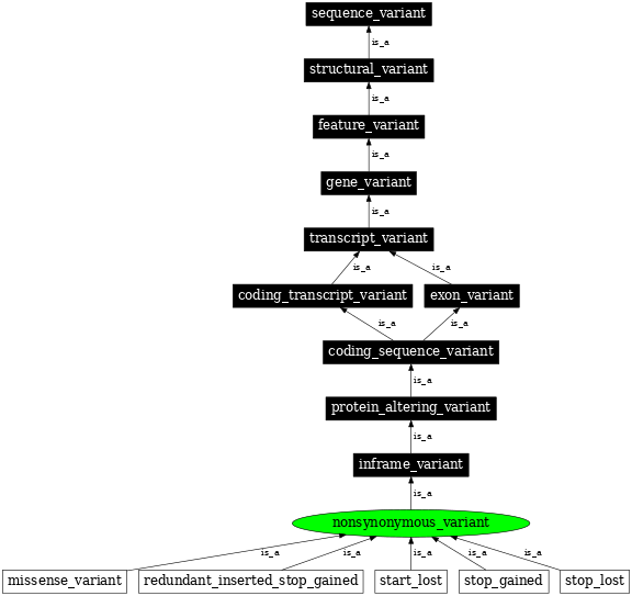 Graph image for SO:0001992