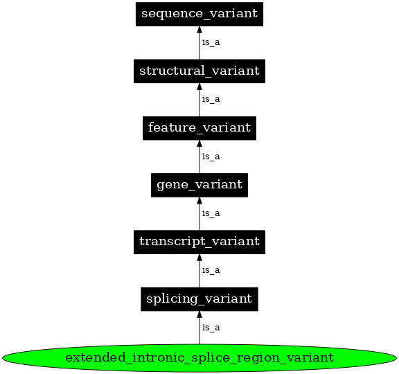 Graph image for SO:0001995