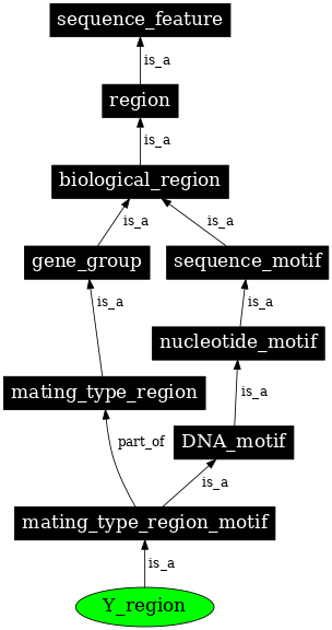 Graph image for SO:0002001