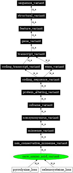 Graph image for SO:0002008