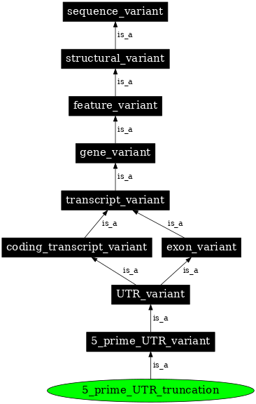 Graph image for SO:0002013