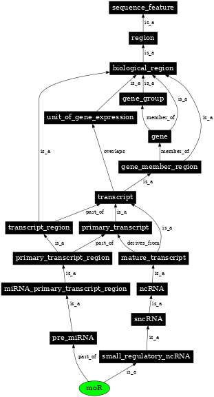 Graph image for SO:0002032