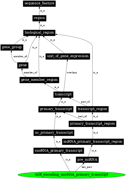 Graph image for SO:0002034