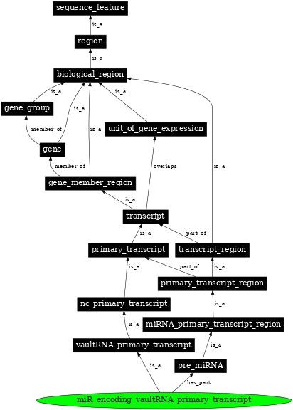 Graph image for SO:0002041