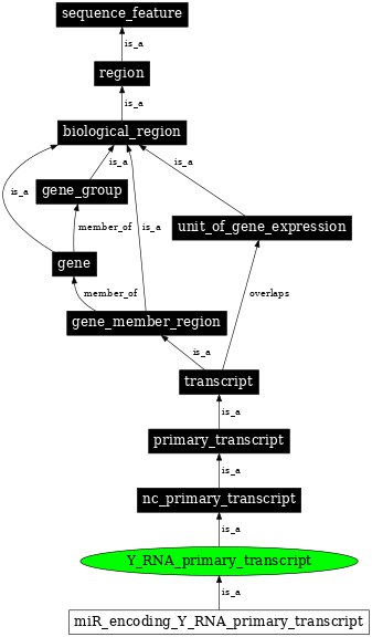 Graph image for SO:0002042