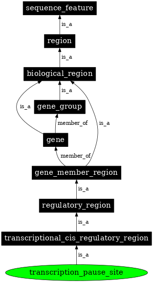 Graph image for SO:0002047