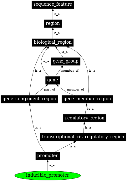 Graph image for SO:0002051