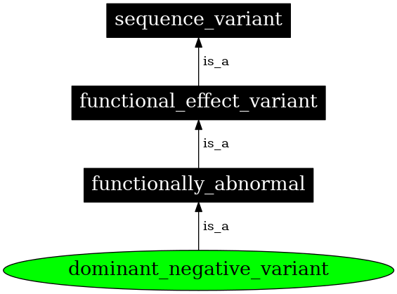 Graph image for SO:0002052