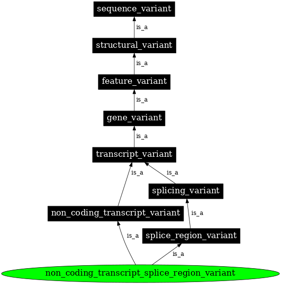 Graph image for SO:0002088