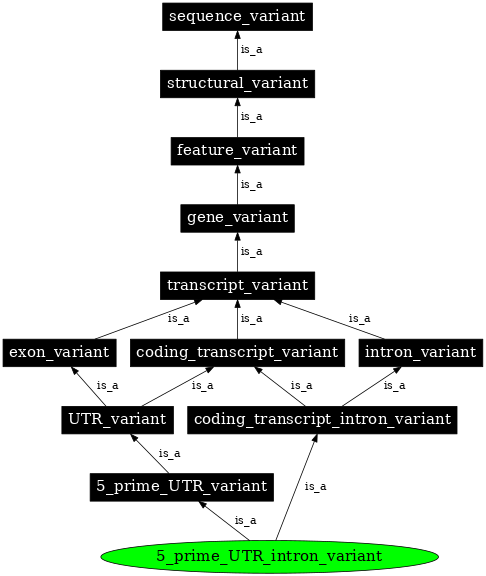 Graph image for SO:0002091