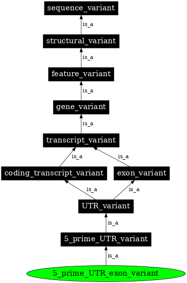 Graph image for SO:0002092