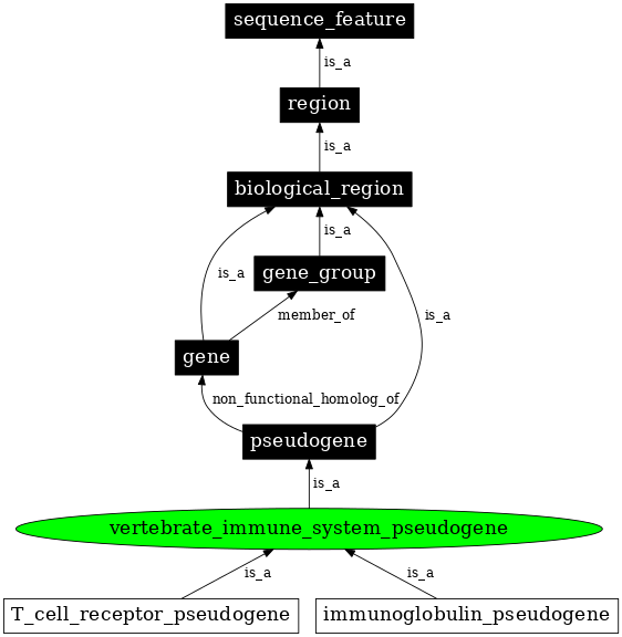 Graph image for SO:0002097