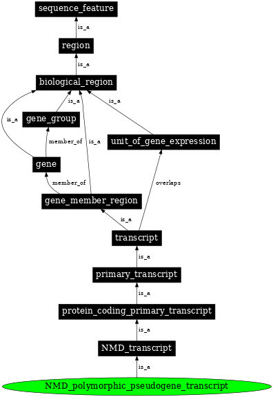 Graph image for SO:0002118