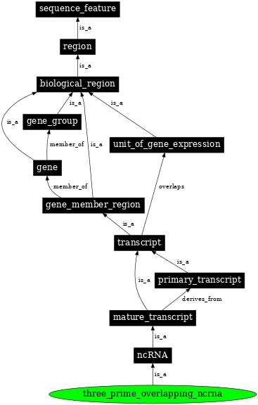 Graph image for SO:0002120